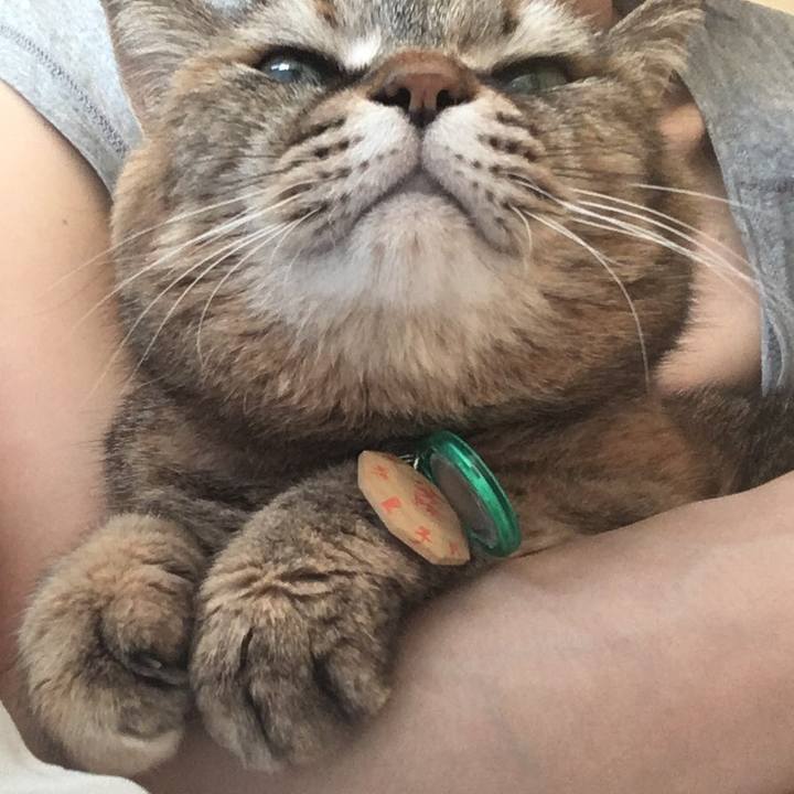 3ee18661 8bfe 46d0 9aed d47faa529ef5