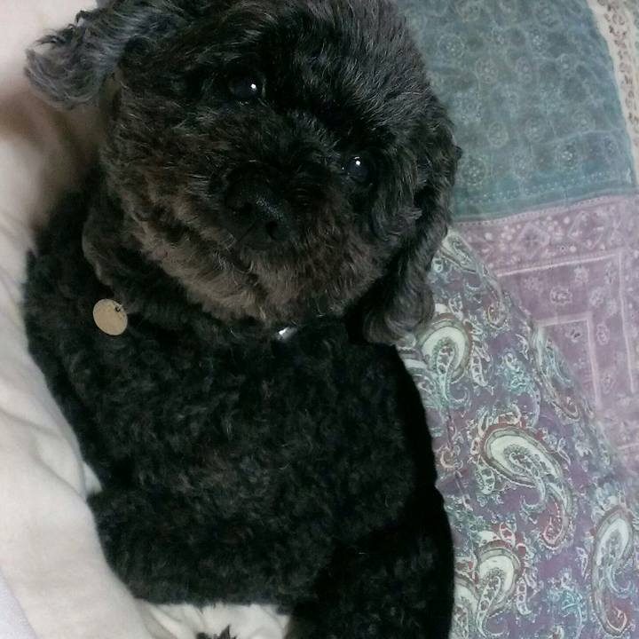 3ee1e3c3 b94c 4aaa 8545 37ccee9f9bbc