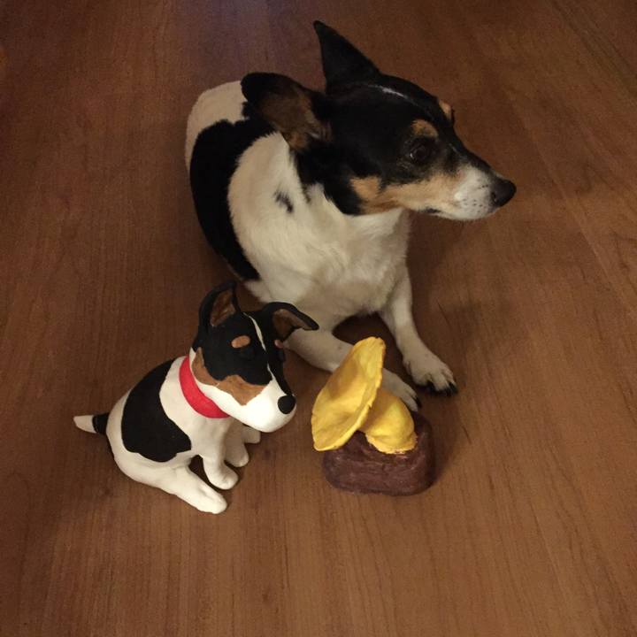 3ee21087 e643 43f5 b3ef 16346ca7ba1b