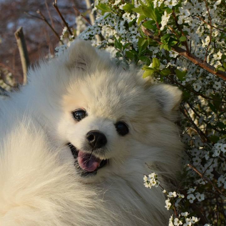 3ee270cc a935 411d bcc9 bd7c2312243d