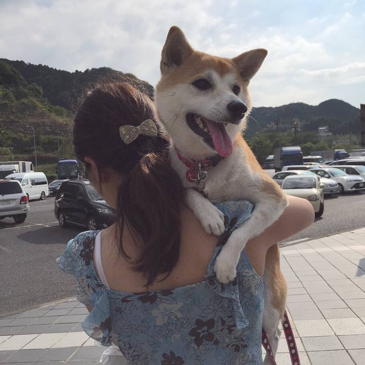 3ee2ac7d 7619 4cc3 a78b 911a71fb4747