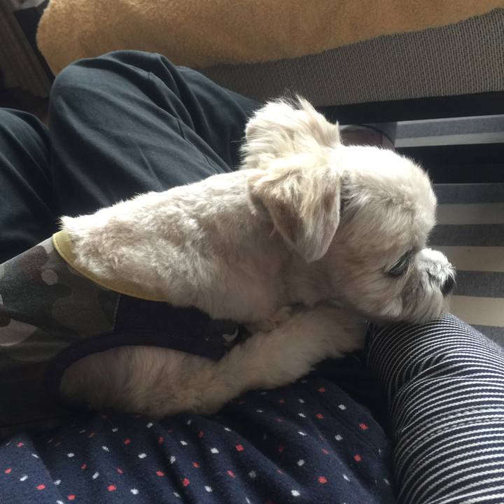 3ee2dae4 bbc0 4020 9641 cb184419fbcb