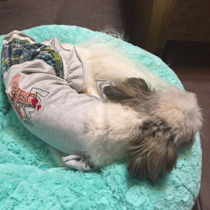 3ee2e6ed 4bc7 4e64 946d edab40f09c35