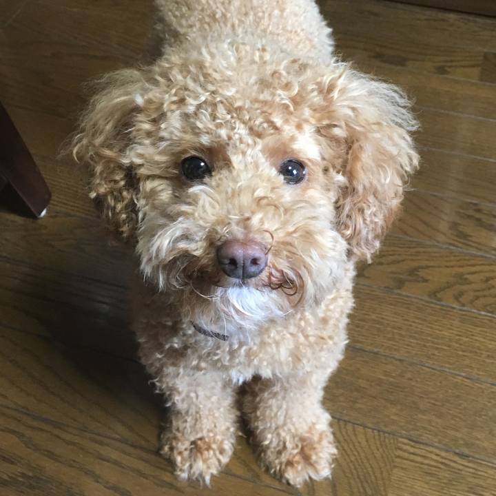 3ee315e7 1b85 4c3d 99f3 2085a982a4f0