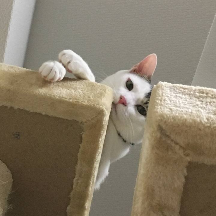 3ee3d857 fb0b 4411 987b 79b685279c8b