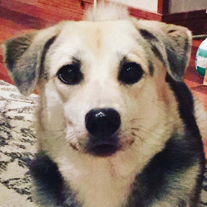 3ee40028 fbd5 4e02 85af 911de4426482