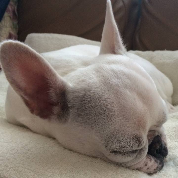 3ee44ee9 9940 42fb 9936 ff0a4e63be9e