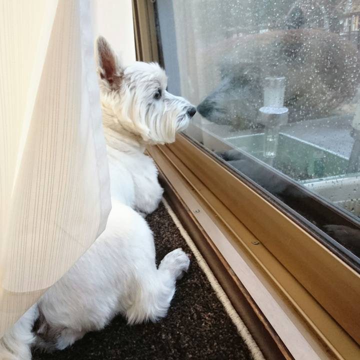 3ee47716 f17b 4f58 9b1e 2bebb6eb70a4