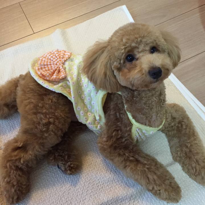 3ee49ff3 ca85 43bf 8436 2bae093eddc6