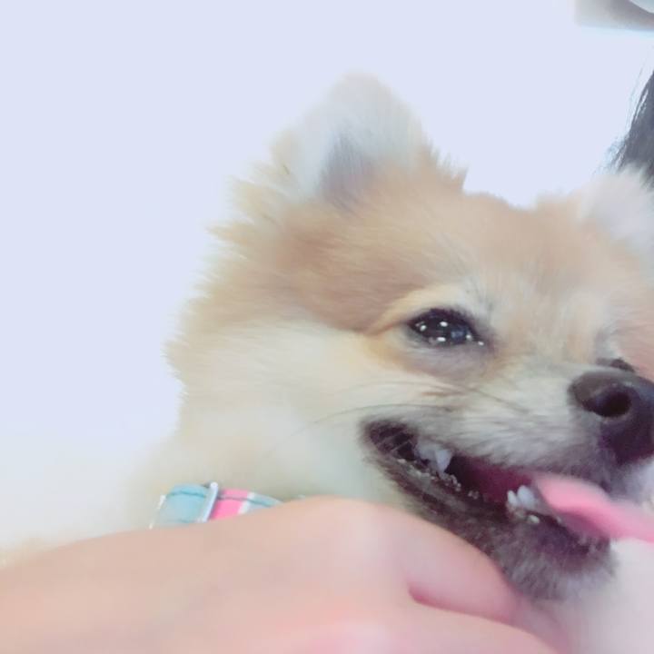 3ee4b5ca 9457 43f0 a215 b1a41beb4409