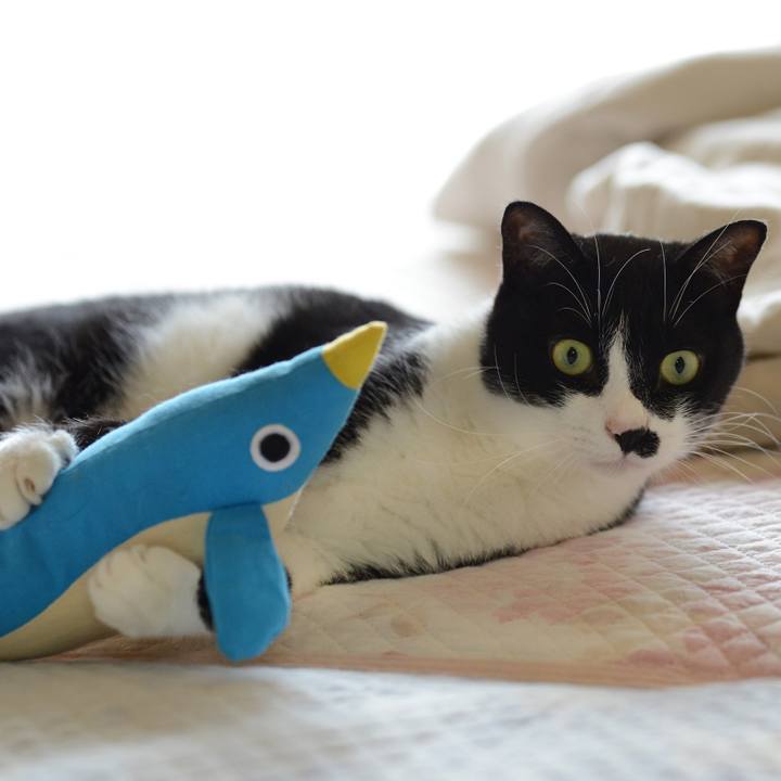 3ee4cbf1 c835 424c b33f 7b0d0c56816d