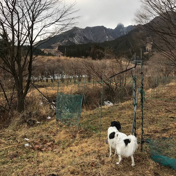 3ee4ce06 a0f8 4448 a308 fb84910748ea