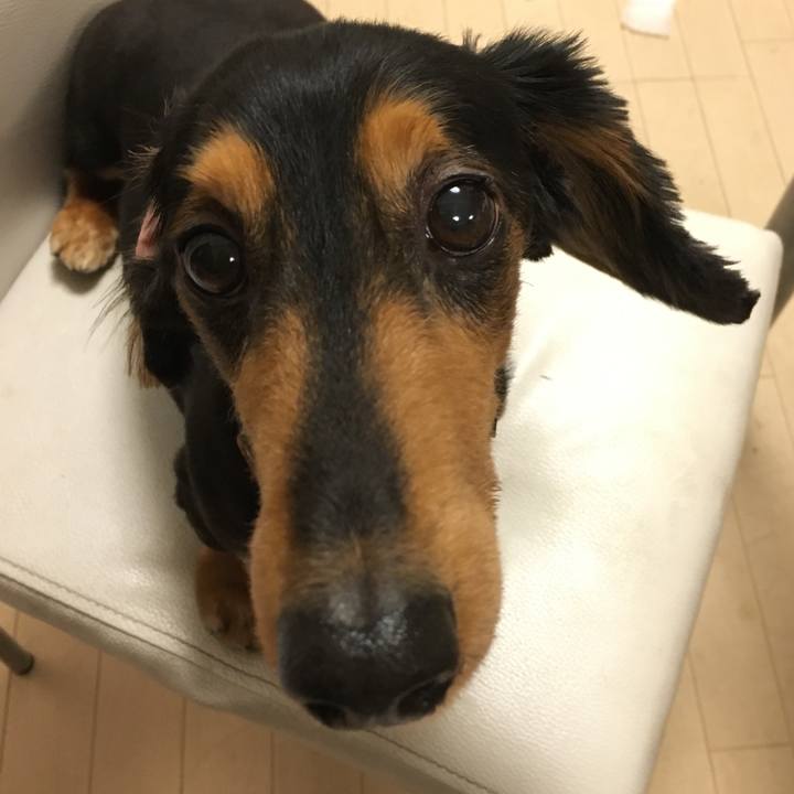 3ee50cad 3c42 4ace bcc2 11c851328c6b