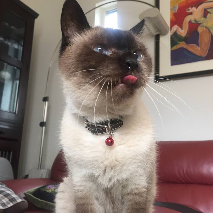 3ee51917 a77e 4519 af6f b0f630e5efd8