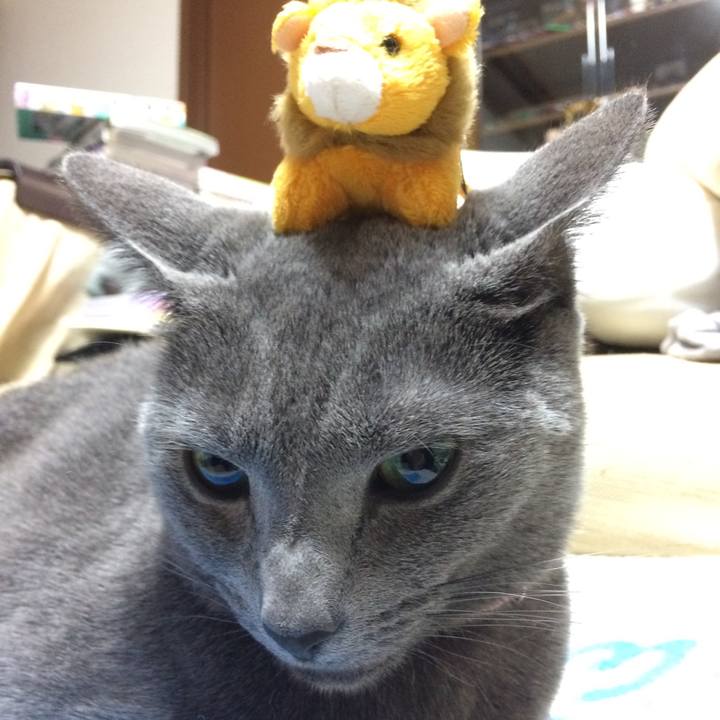 3ee5b318 5145 47ed 816a 9837d773d2c9