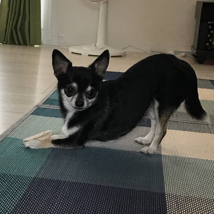 3ee5d8c5 77b2 4f22 8c23 79c24b9e18fa