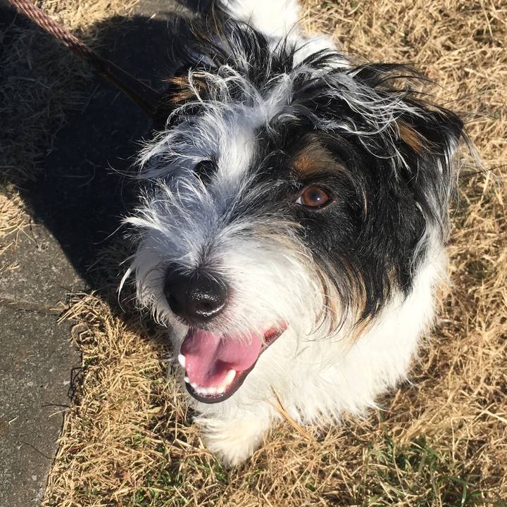 3ee7b1a8 efbf 46f1 8ec1 8ec091a6c42a