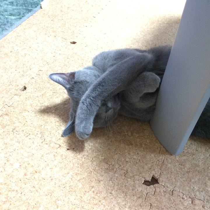 3ee7f96d 0f87 4331 b6ad c6d5f09688f7