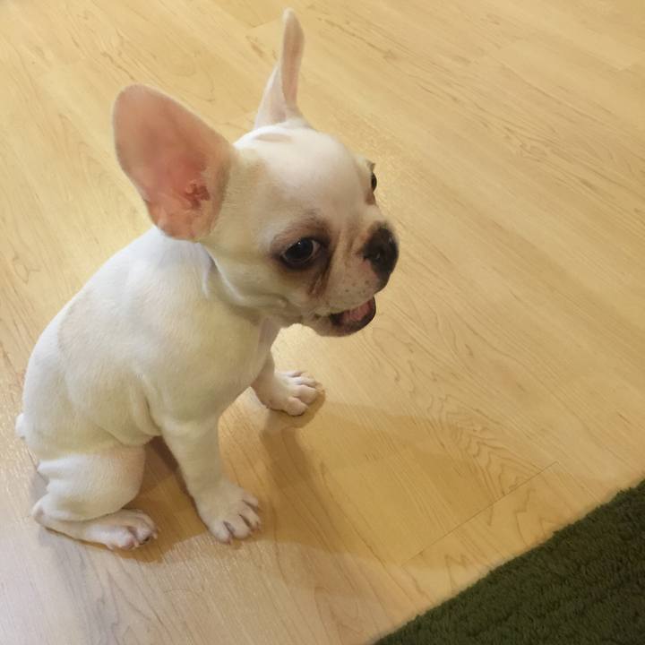 3ee826ae 8fbd 4138 bf1c ac5ec9f18c5a