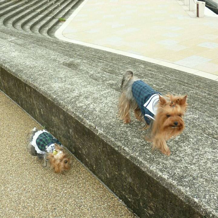 3ee85fb8 98f7 4e76 b3bf c8e93c0e7feb