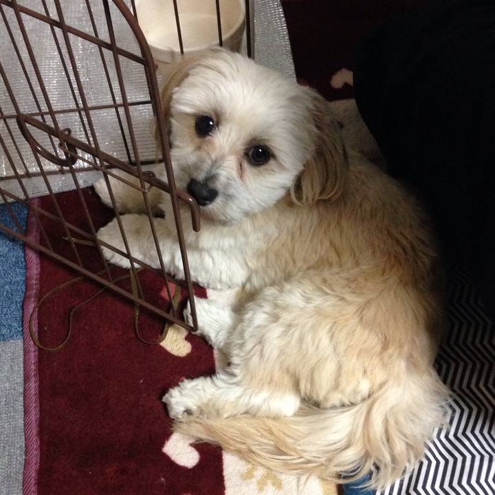 3ee944ad 4f76 47b2 ac66 05ac8b8e90c2