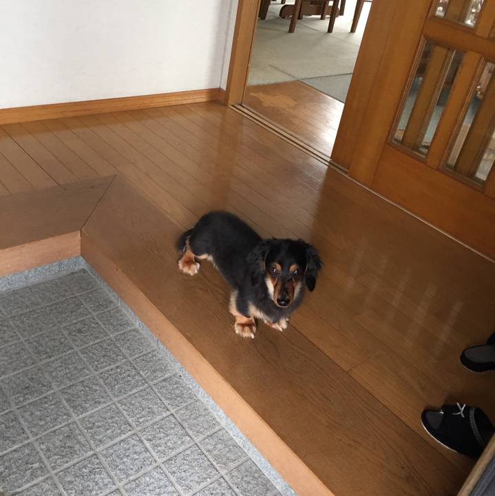 3ee98e17 f926 477c 8c82 7ad087ddbe37