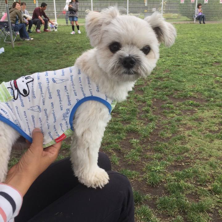 3ee9a43a 8f80 4999 ba17 7228f097d3ed