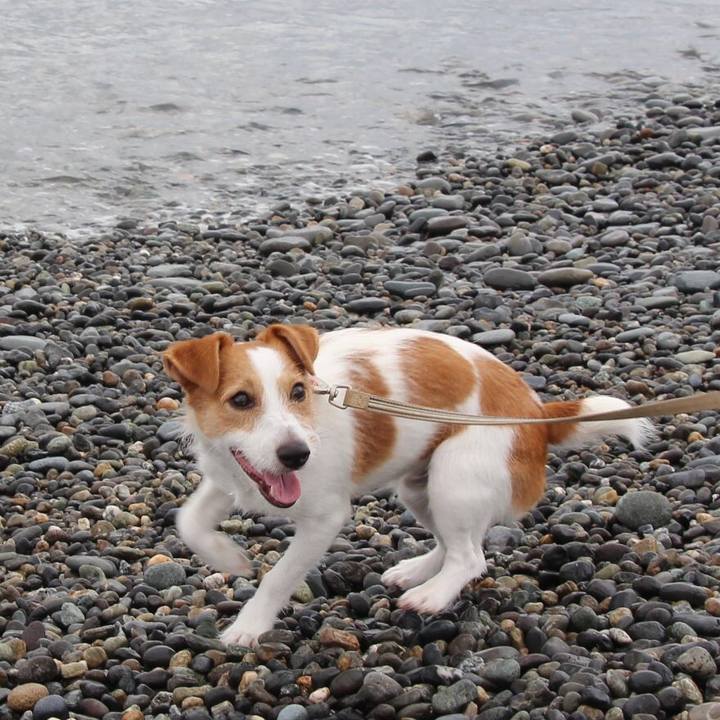 3ee9b9f8 62bc 47c8 9861 1f7e25980be9