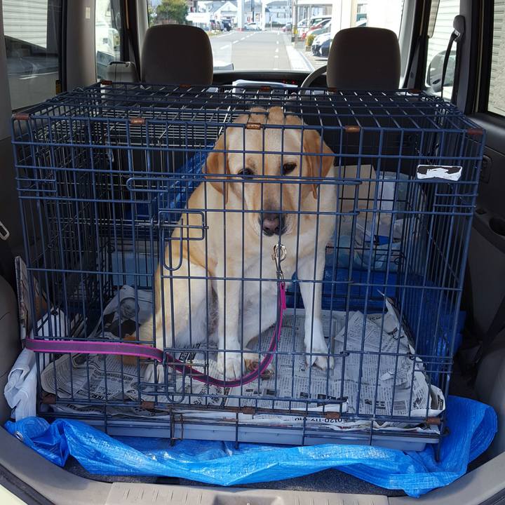 3ee9dc8f eb41 4f10 8dbb 1d4f4aab3985