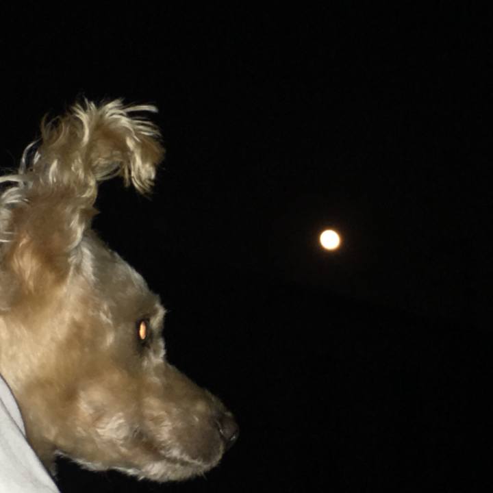 3ee9f196 7ceb 4d88 83be 12fa008f8adc