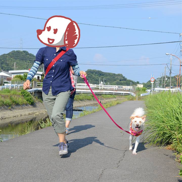 3eea24b3 1404 499e 8dbc 451729247c64