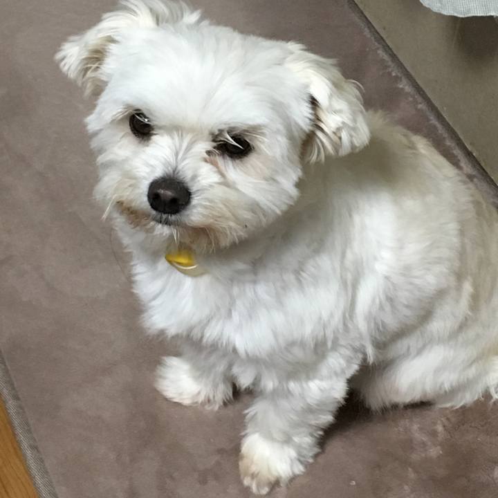 3eeae2b6 b233 47d1 b599 f0c3ed7584be