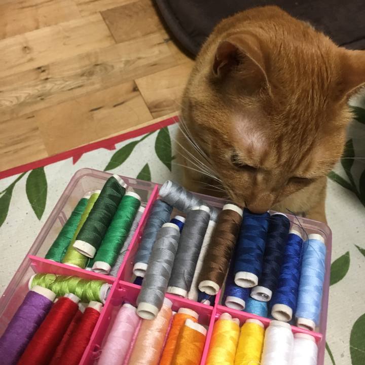 3eeb9a2d 2520 4ffd 9d07 92e61c8f0e88