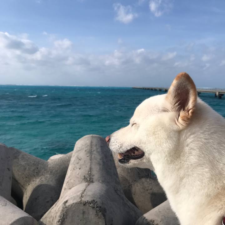 3eecb25a 548b 4363 8541 257e0c102767