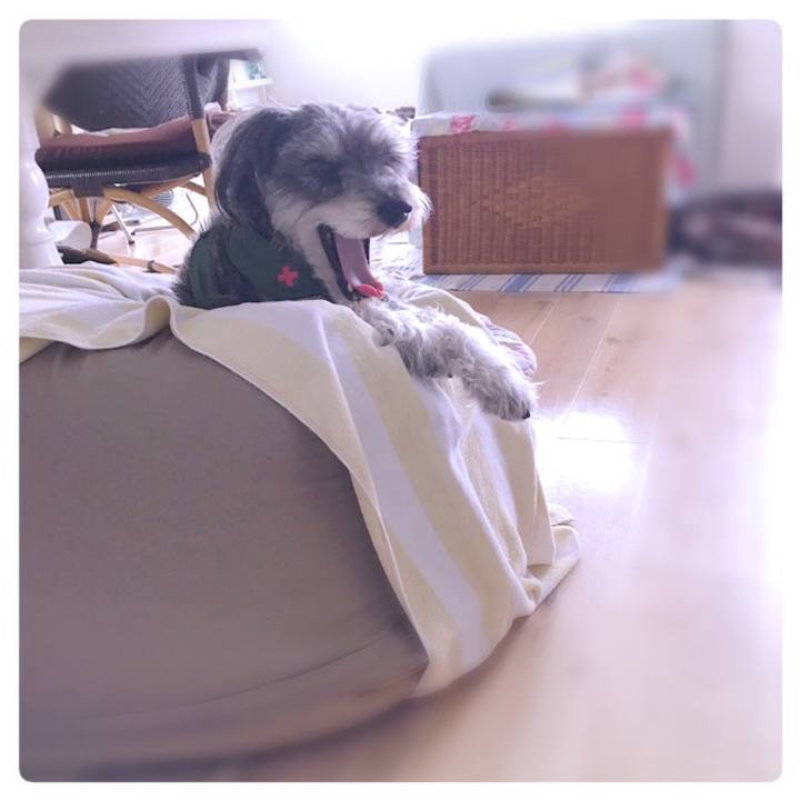 3eedaf8f 4be4 4cb4 a0cb 20e588575a34