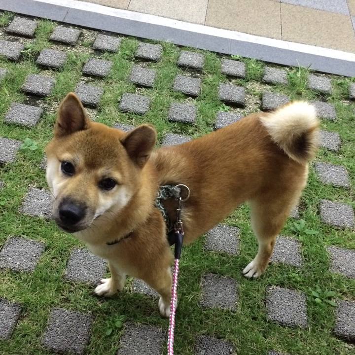 3eee7e26 65c5 4869 87e9 78d8b0aa4dbd