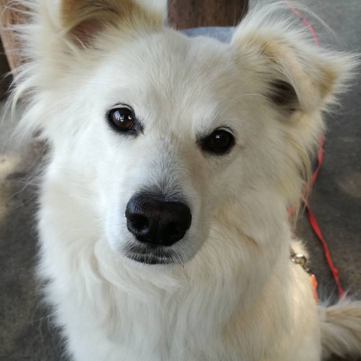 3eee8b20 eadb 4acd 8551 d1a668ed6f75