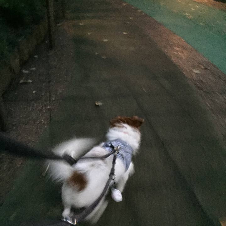 3eeead93 5d85 45be a825 2dbfbc8a10d6