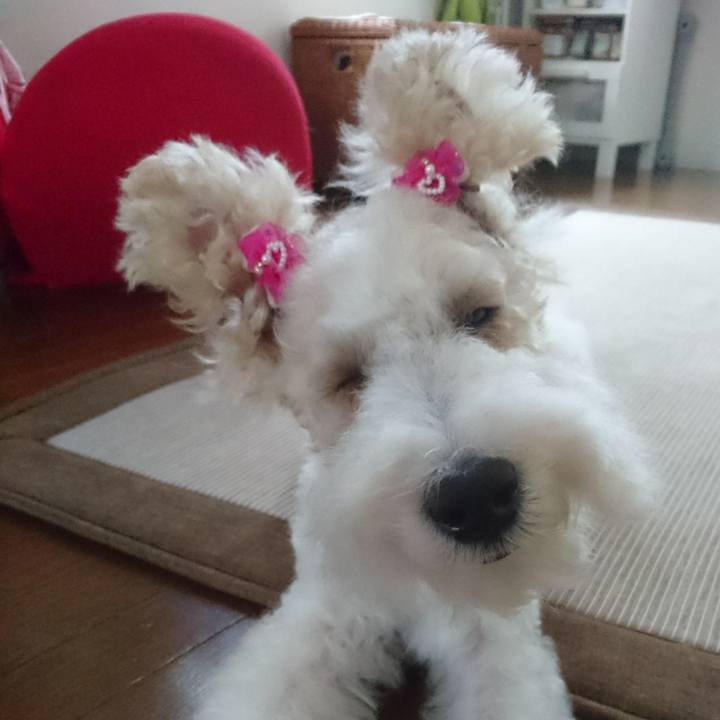 3eefcc6c f472 4015 b945 779616cbbe19