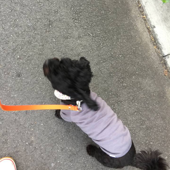 3ef10078 fc2b 442d 8553 097d9a6c2a54