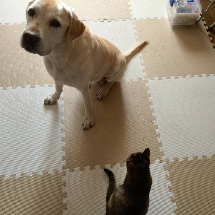 3ef169ee 4b9f 4592 8be9 c963a2cce40f