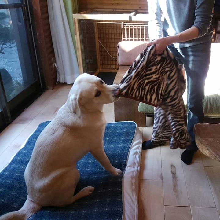 3ef23454 d22f 4041 8fc6 c06fd57ddc21