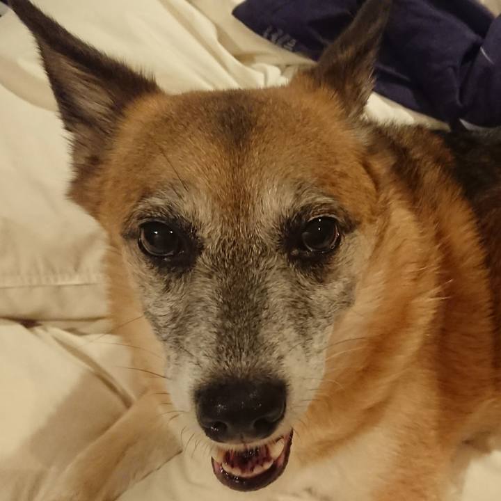 3ef29572 8cc9 4fb7 bf7a f6d176300121