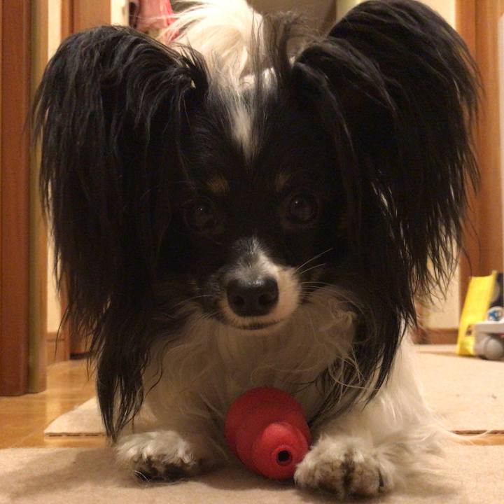 3ef2f626 6a6c 47a1 9ac3 ab452995e459