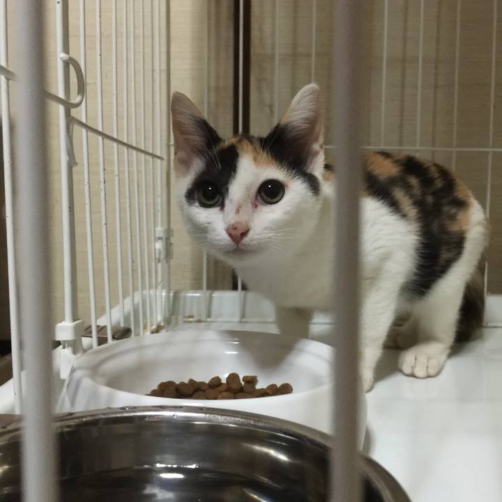 3ef3307f 1324 4a75 8f28 aca7210ff719