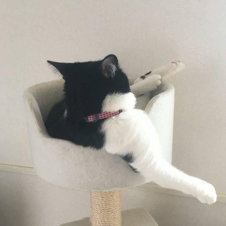 3ef3ddb4 7c1b 4bb8 a18e 114f0f0f20ce