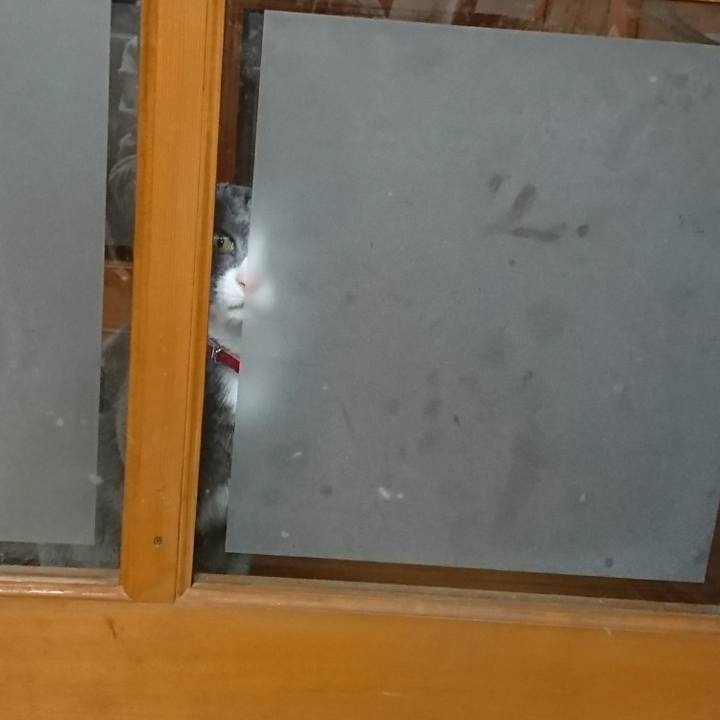 3ef3f6e8 0291 4e11 8365 71fb55d30010