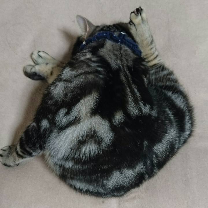 3ef513b1 370d 484f aace 7ec6afb7a18c