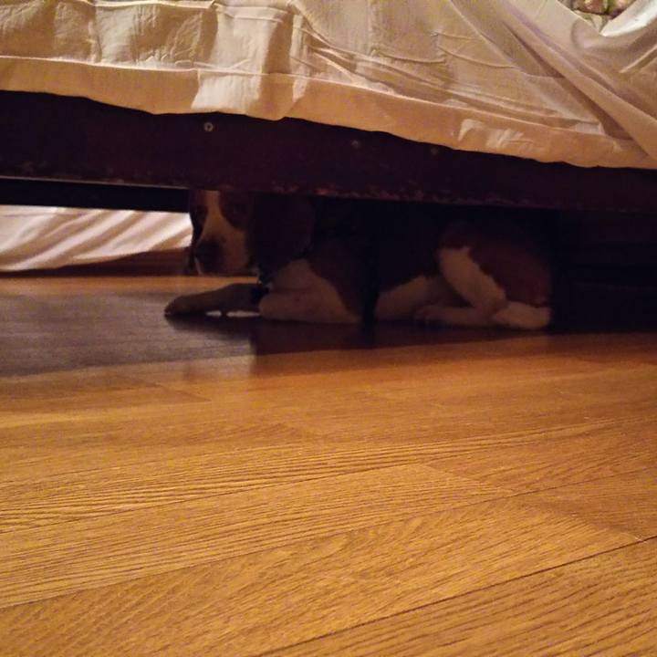 3ef60ad7 86a4 468c 8528 70f6407f010e