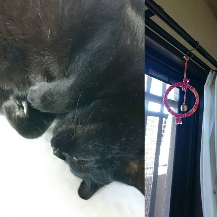 3ef6575c aa76 48ed bd72 130b55c18556